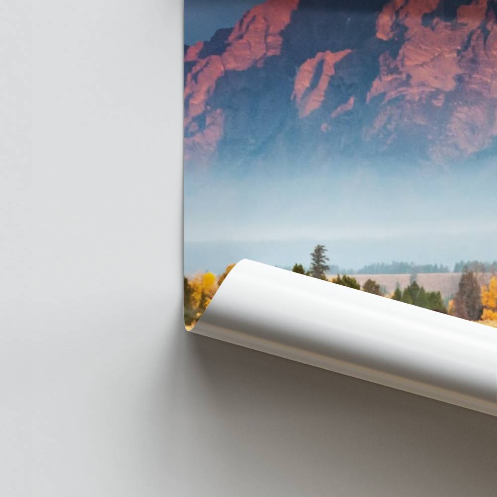 Poster Bison et Montagnes