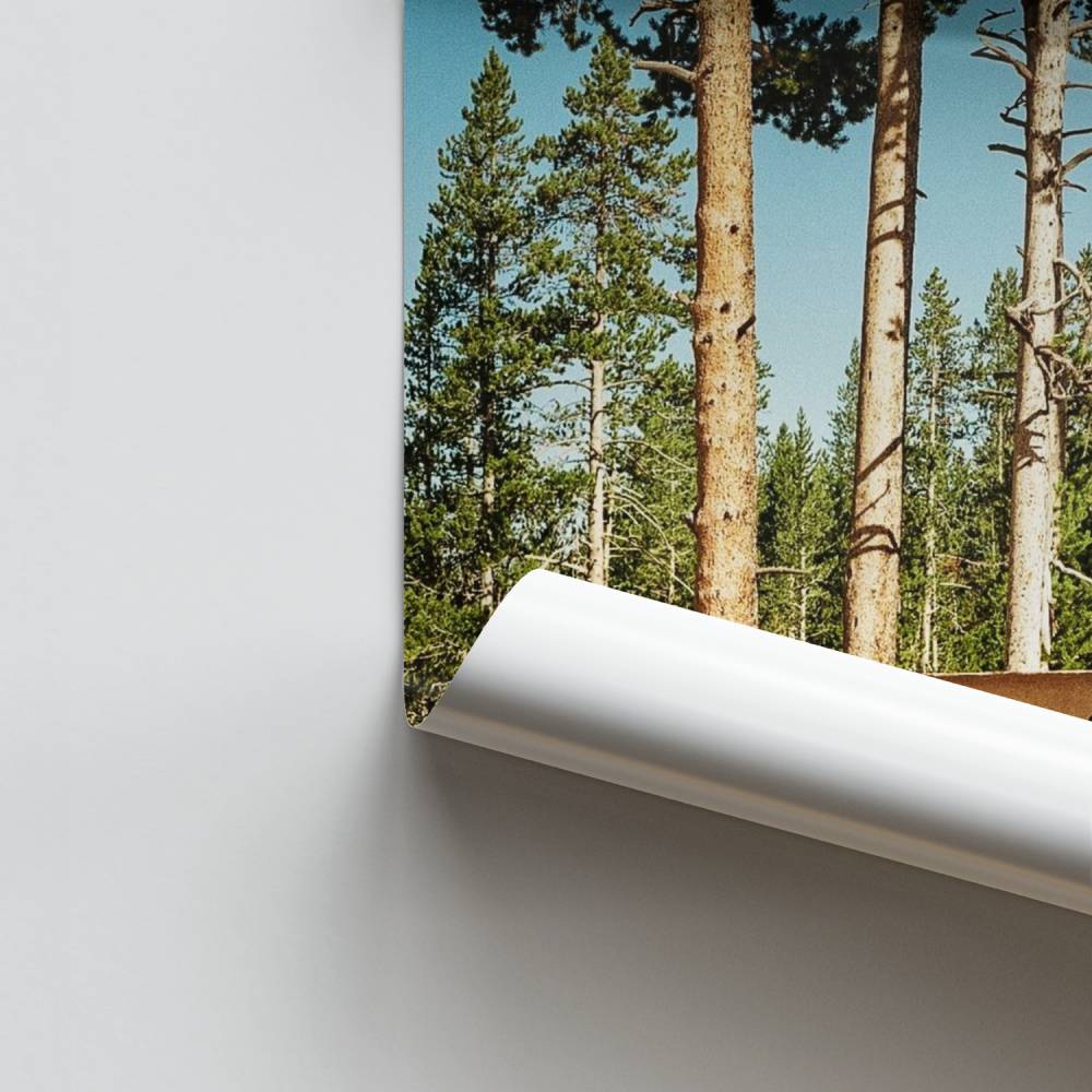 Poster Yellowstone Panorama