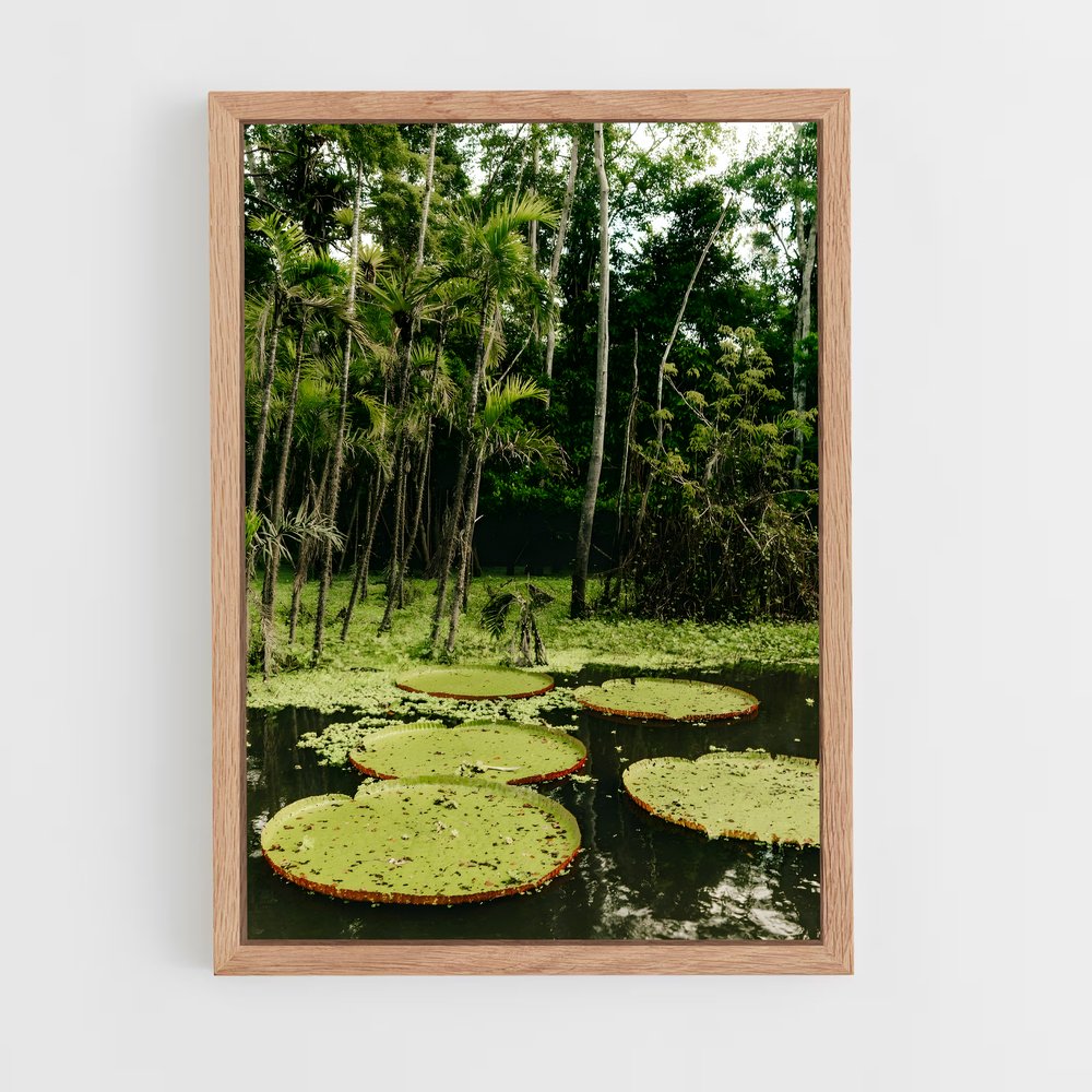 amazonia-10 cadre Bois clair