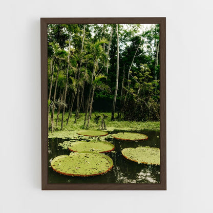 amazonia-10 cadre Bois foncé
