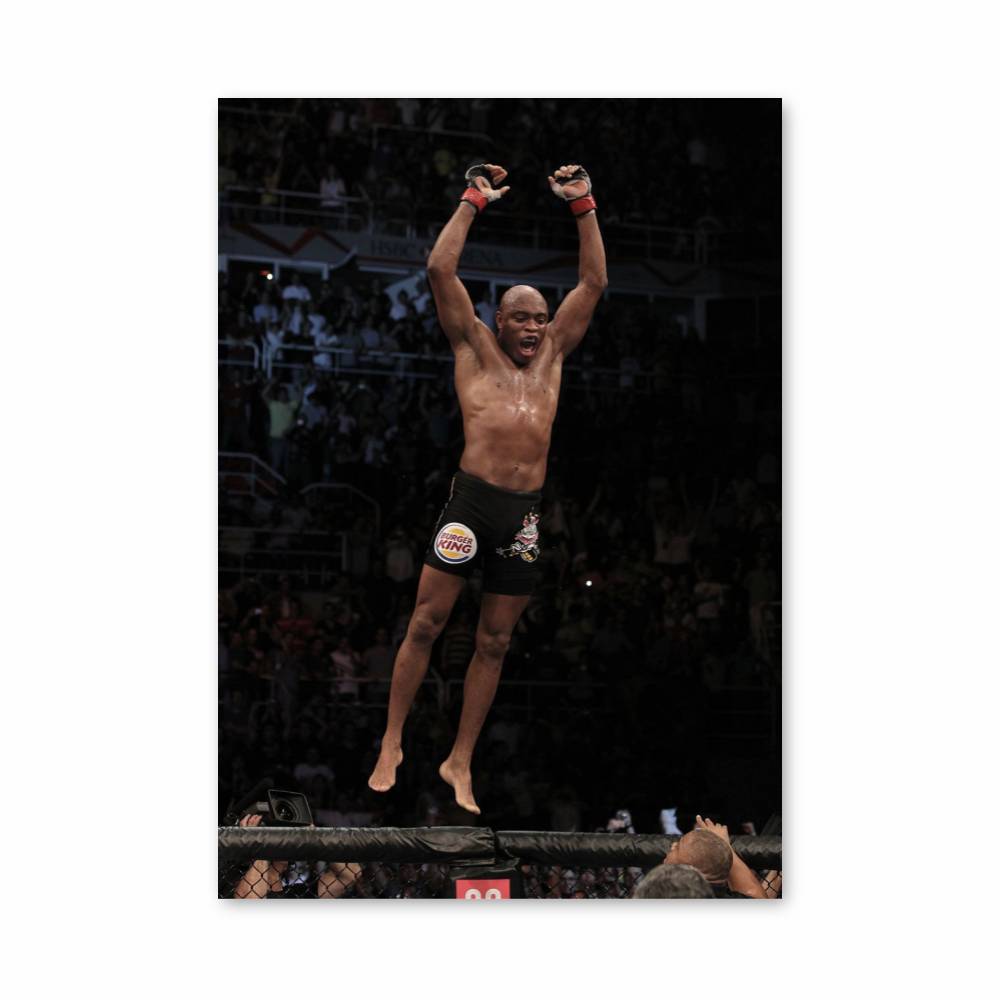 Poster Saut Anderson Silva