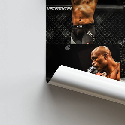 Anderson Silva collageposter