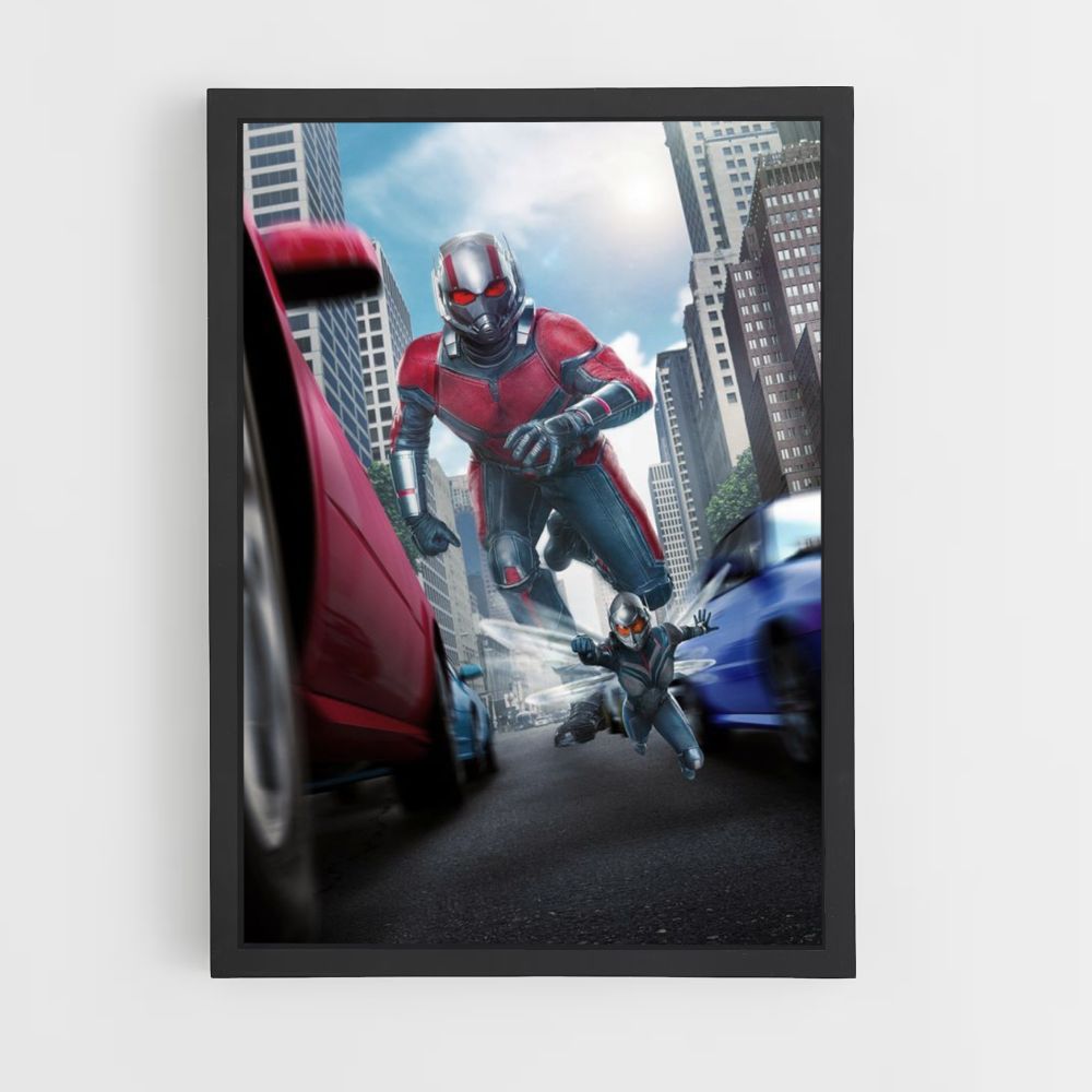 Poster Antman groot