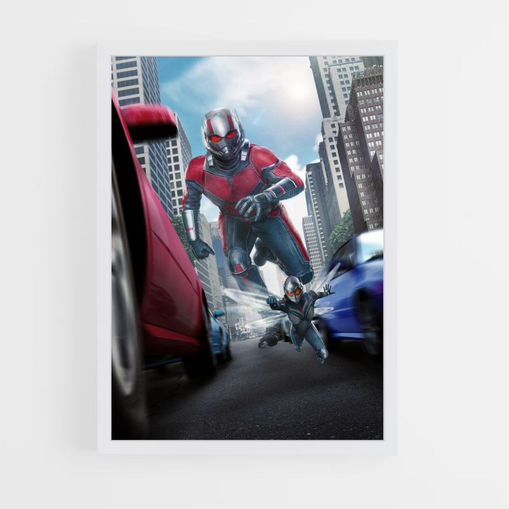 Poster Antman groot