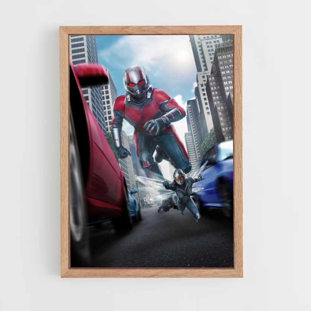 Poster Antman groot