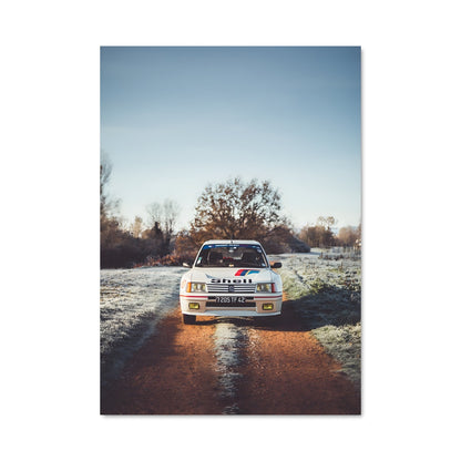 Poster 205 gti 79106