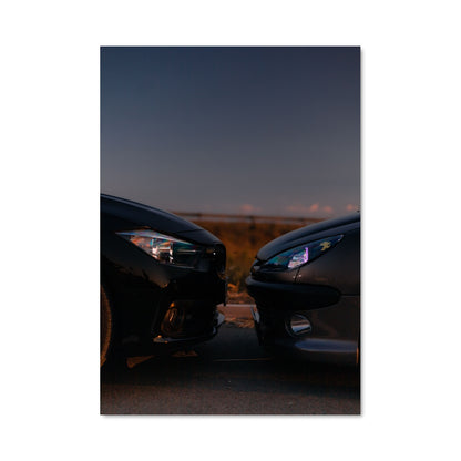 Poster 206 gti 79120