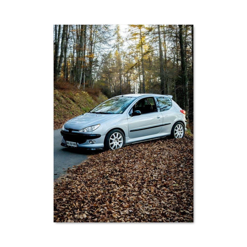 Poster Route Feuillue