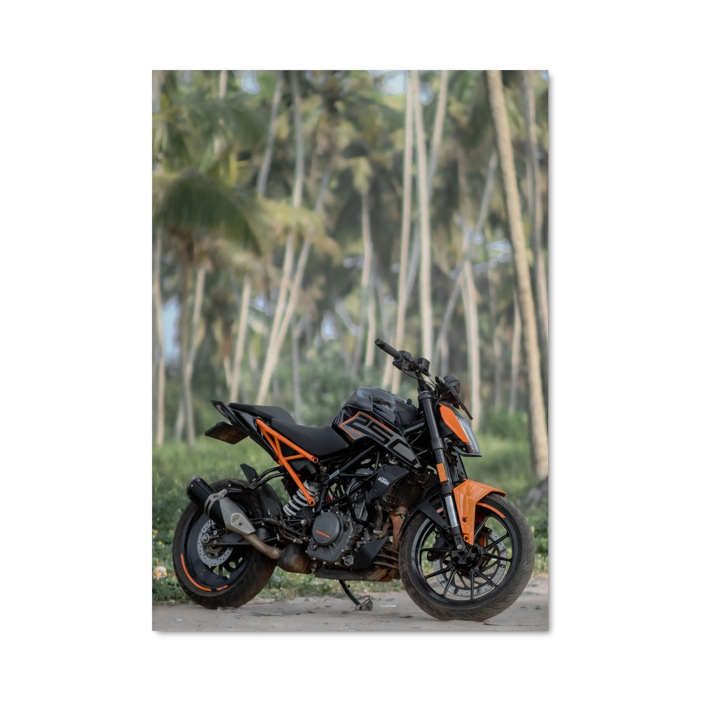 Poster KTM Mania