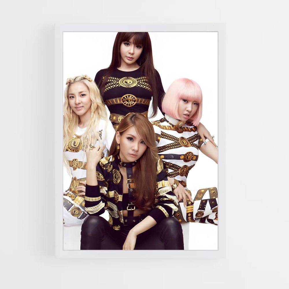 ap-2ne1-1 cadre Blanc