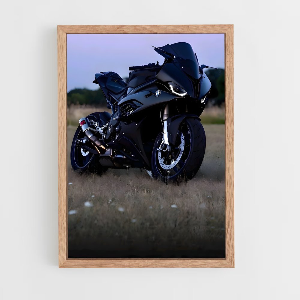 ap-300 rr-2 cadre Bois clair