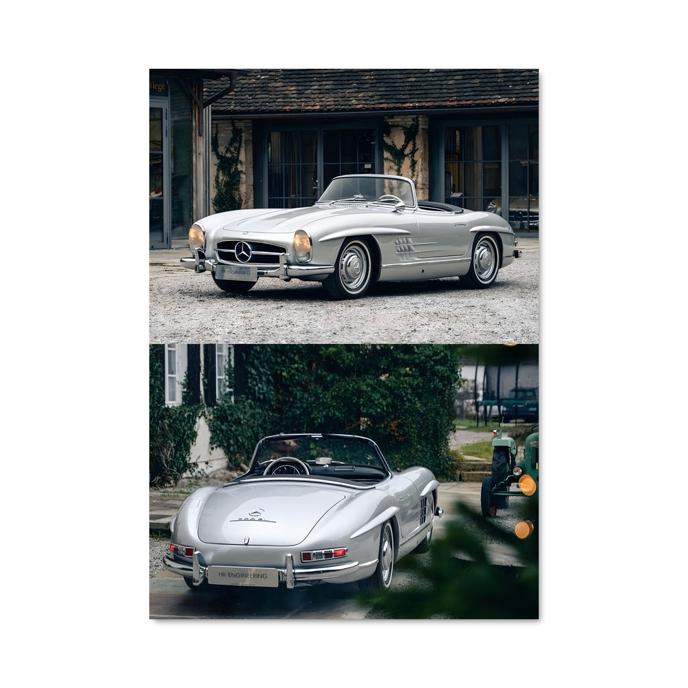 Poster L'Élégance Argente