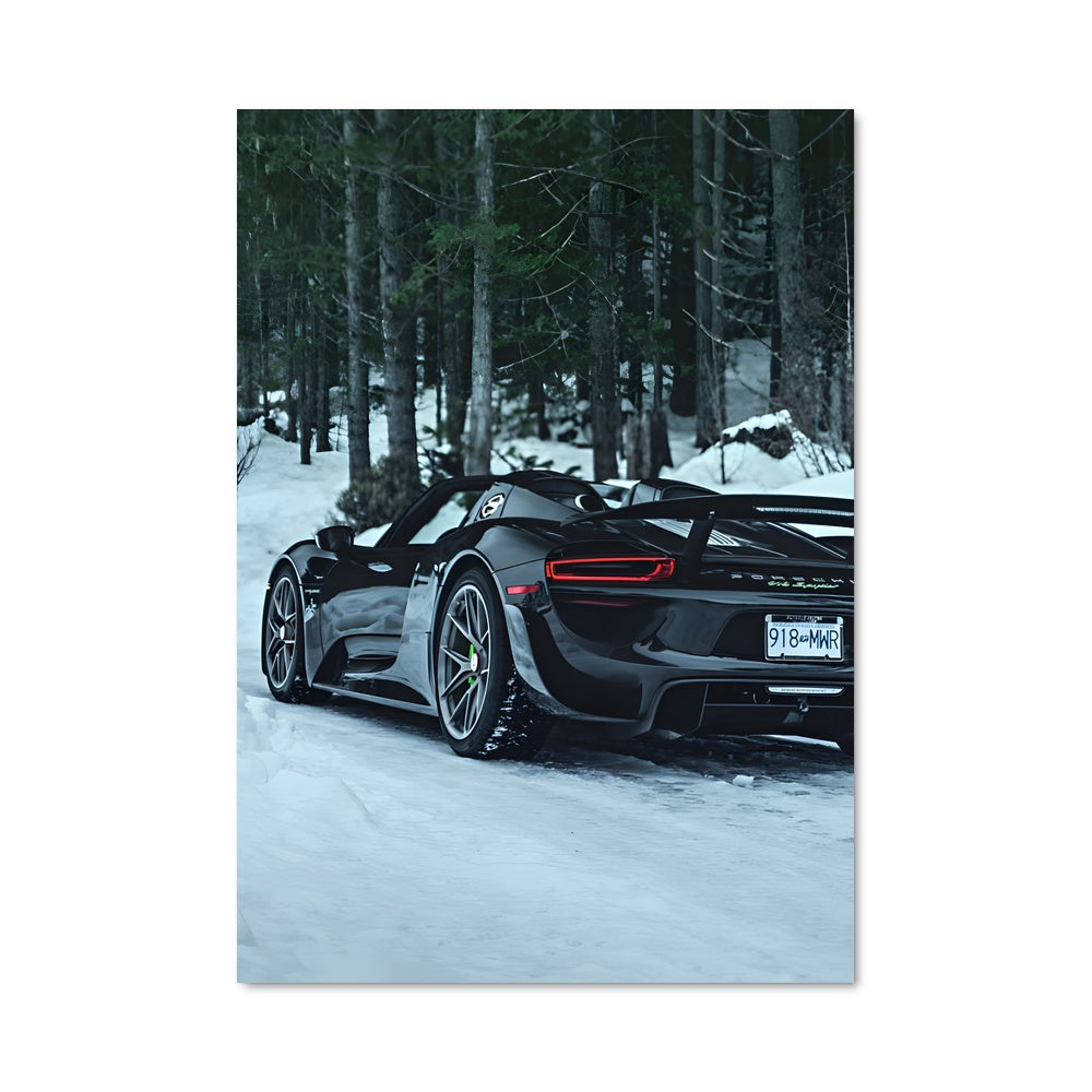 Poster 918 spyder 79311