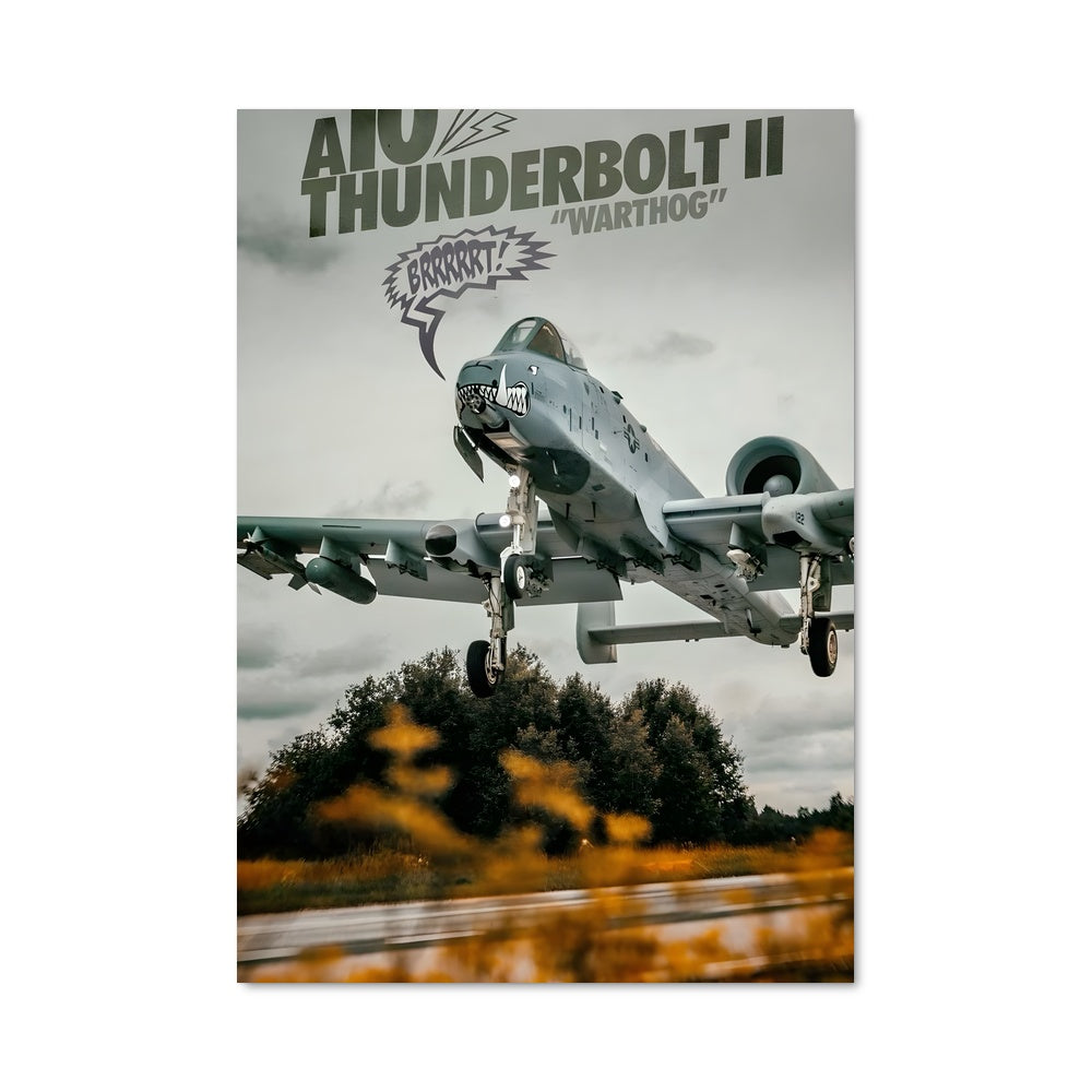 Poster Thunderbolt in Flight