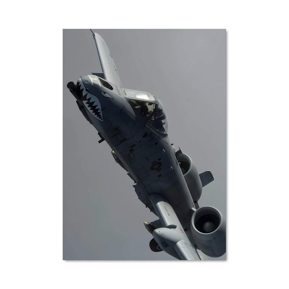 Poster Avengers du Ciel