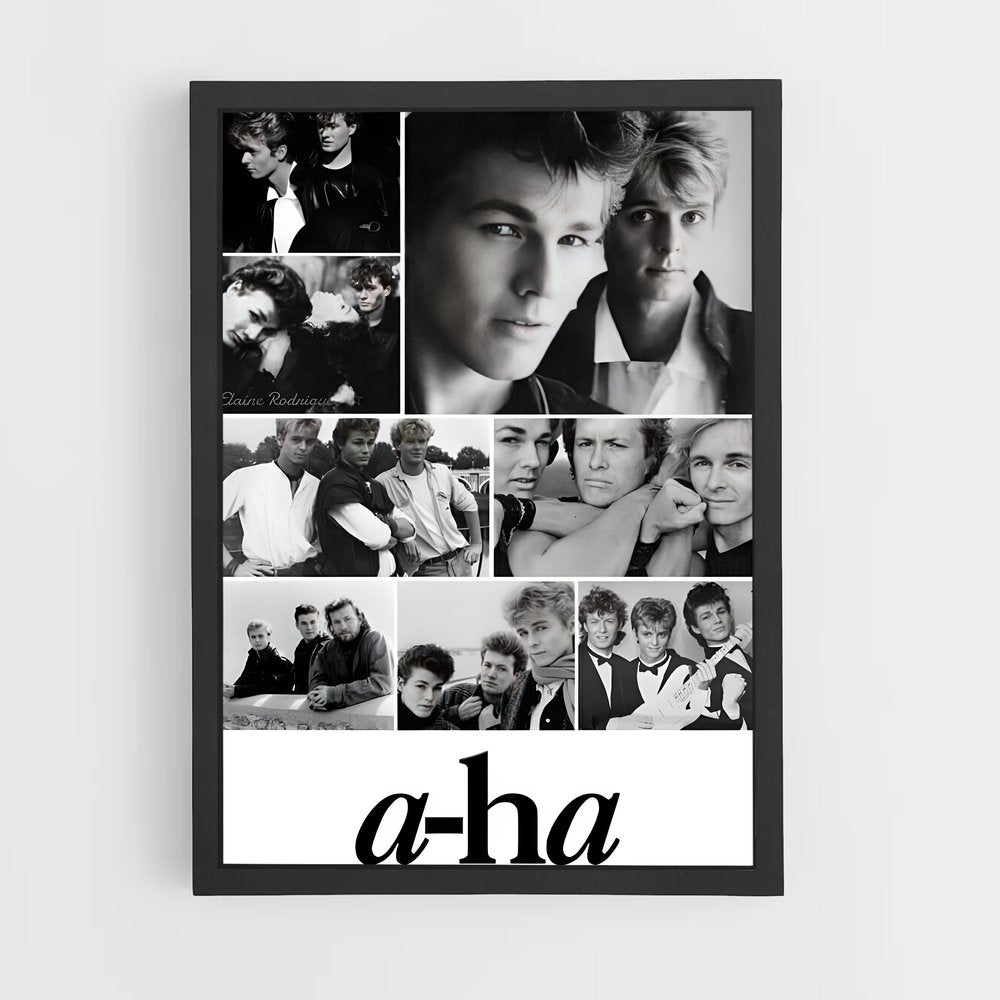 ap-a-ha-1 cadre Noir