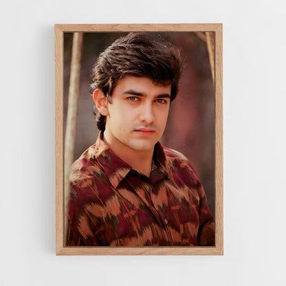 ap-aamir khan-6 cadre Bois clair