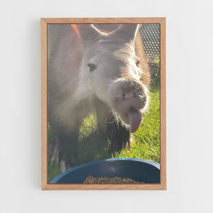 ap-aardvark-2 cadre Bois clair