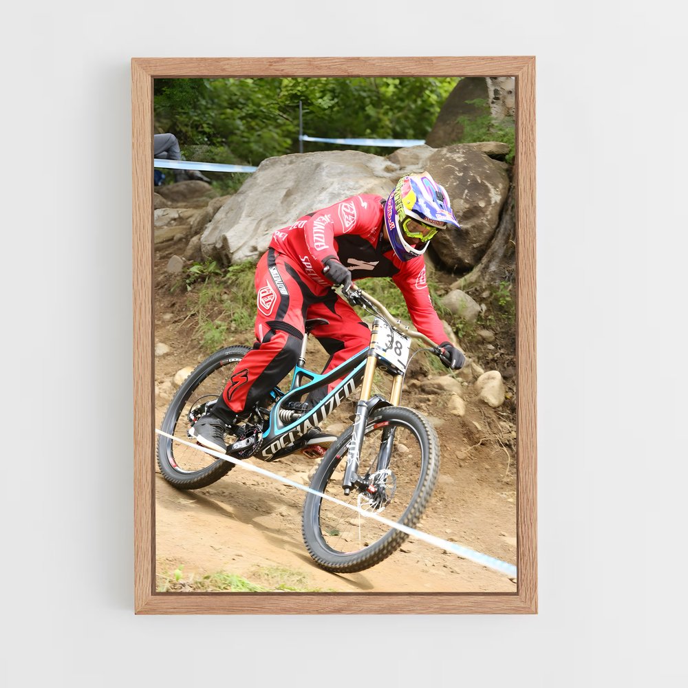 ap-aaron gwin-1 cadre Bois clair