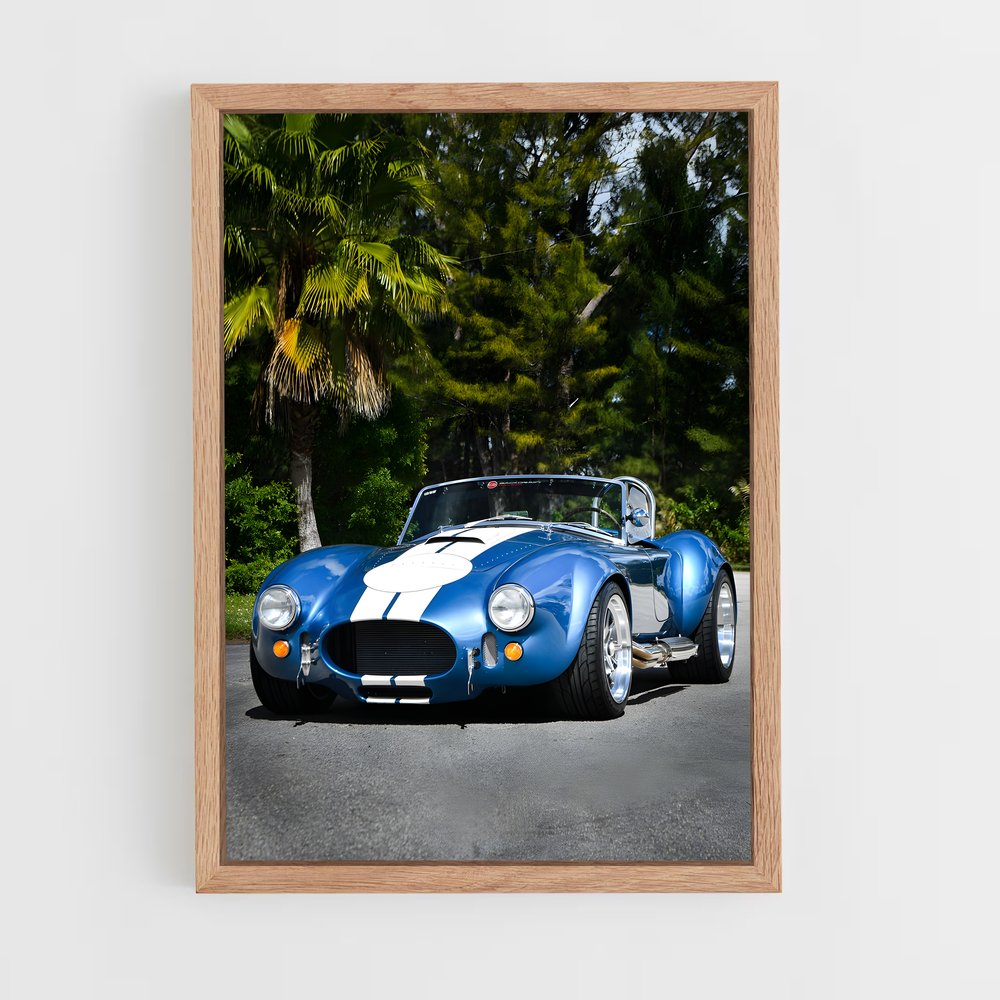 ap-ac cobra-1 cadre Bois clair