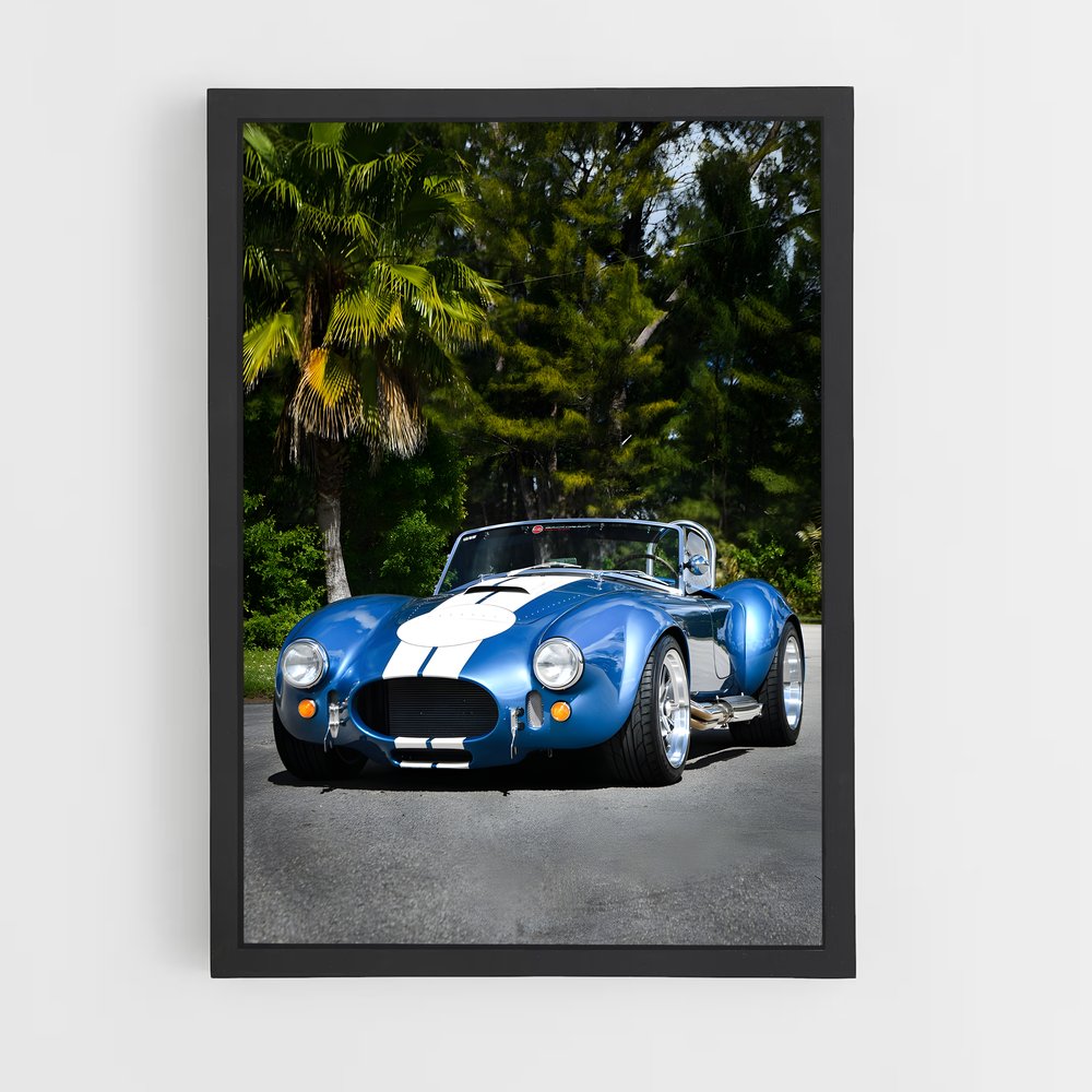 ap-ac cobra-1 cadre Noir