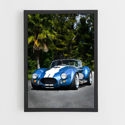 ap-ac cobra-1 cadre Noir