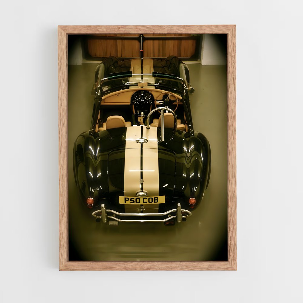 ap-ac cobra-5 cadre Bois clair