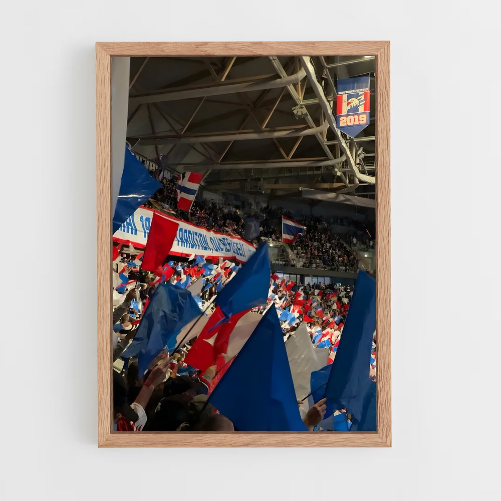 ap-adler mannheim germany-1 cadre Bois clair