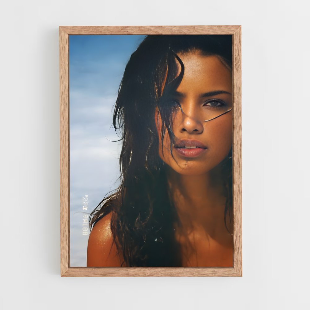 ap-adriana lima-5 cadre Bois clair