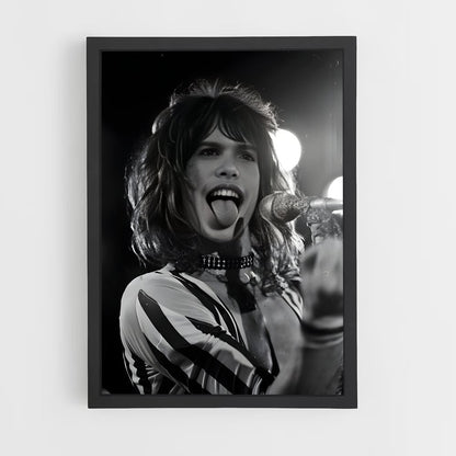 ap-aerosmith-1 cadre Noir