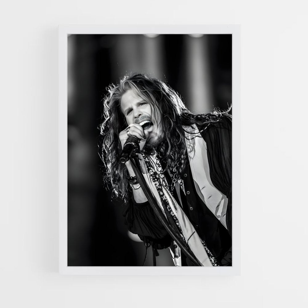 ap-aerosmith-5 cadre Blanc