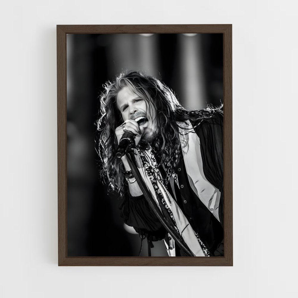ap-aerosmith-5 cadre Bois foncé