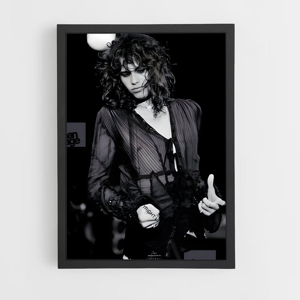 ap-aerosmith-7 cadre Noir