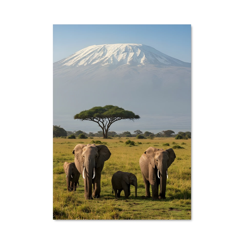 Poster La Famille de l'Éléphant