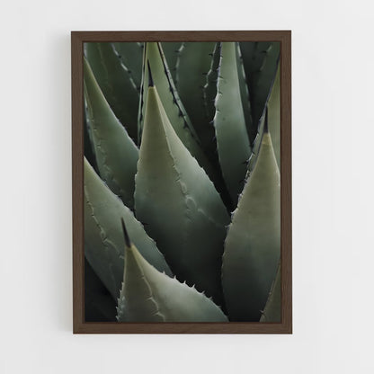 ap-agave-1 cadre Bois foncé