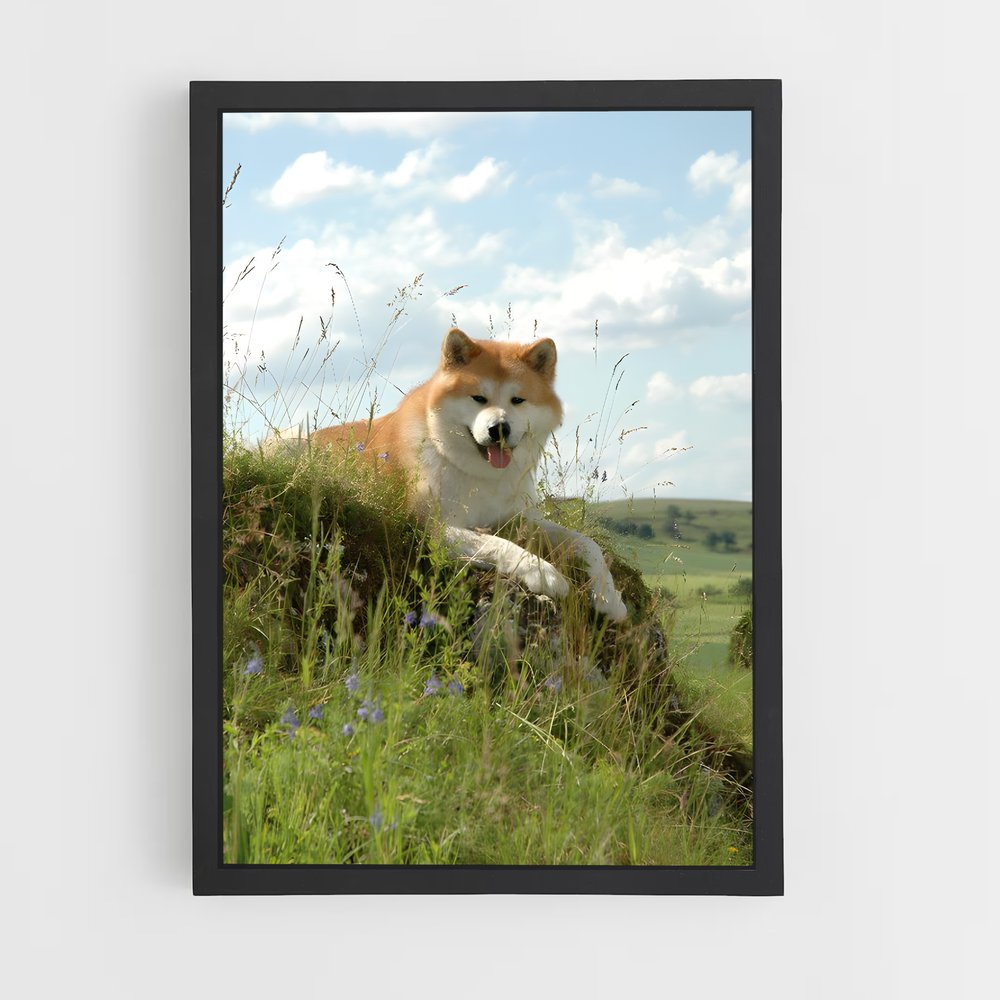 ap-akita-6 cadre Noir