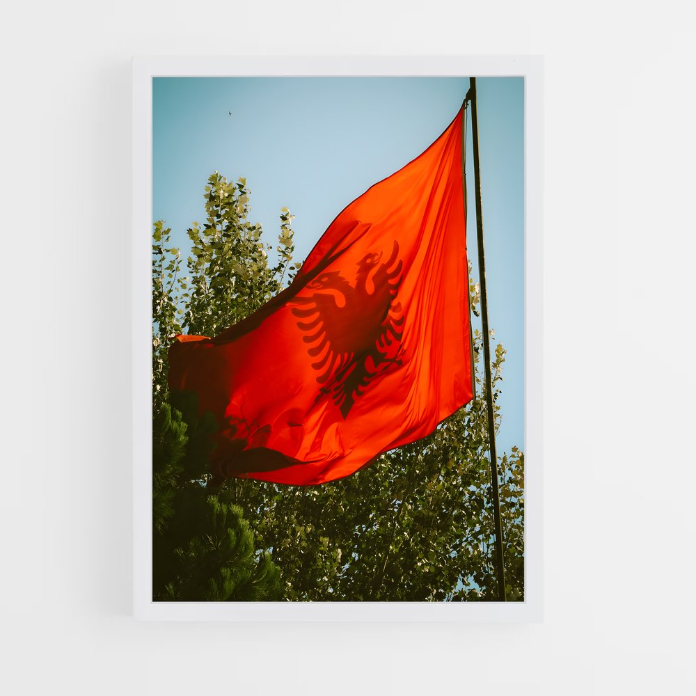 ap-albania flag-3 cadre Blanc