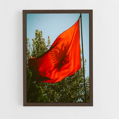 ap-albania flag-3 cadre Bois foncé