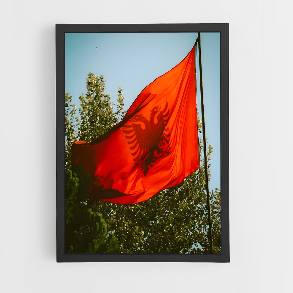 ap-albania flag-3 cadre Noir