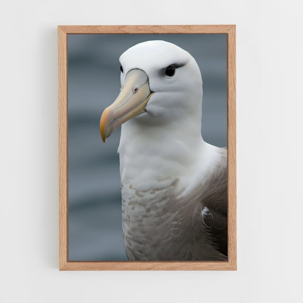 ap-albatross-4 cadre Bois clair