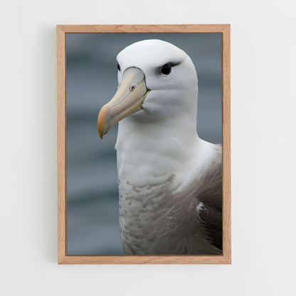 ap-albatross-4 cadre Bois clair