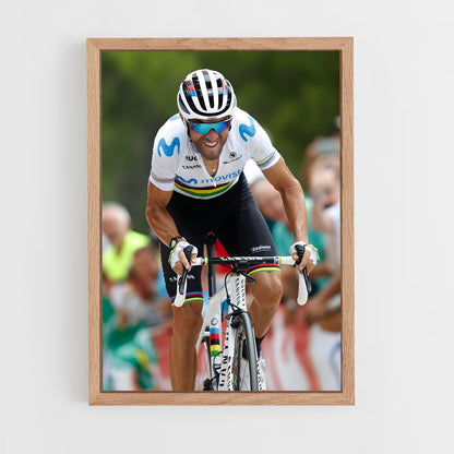 ap-alejandro valverde-4 cadre Bois clair