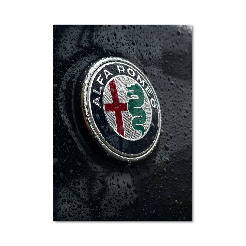 Poster Alfa Passion