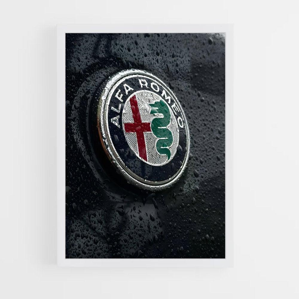 ap-alfa romeo-3 cadre Blanc