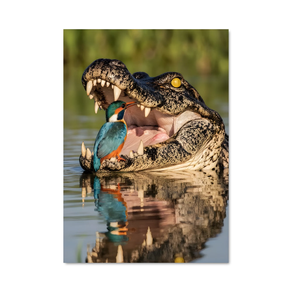 Poster Le Festin des Rois