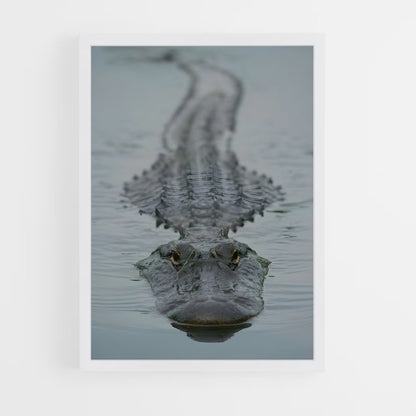 ap-alligator-2 cadre Blanc