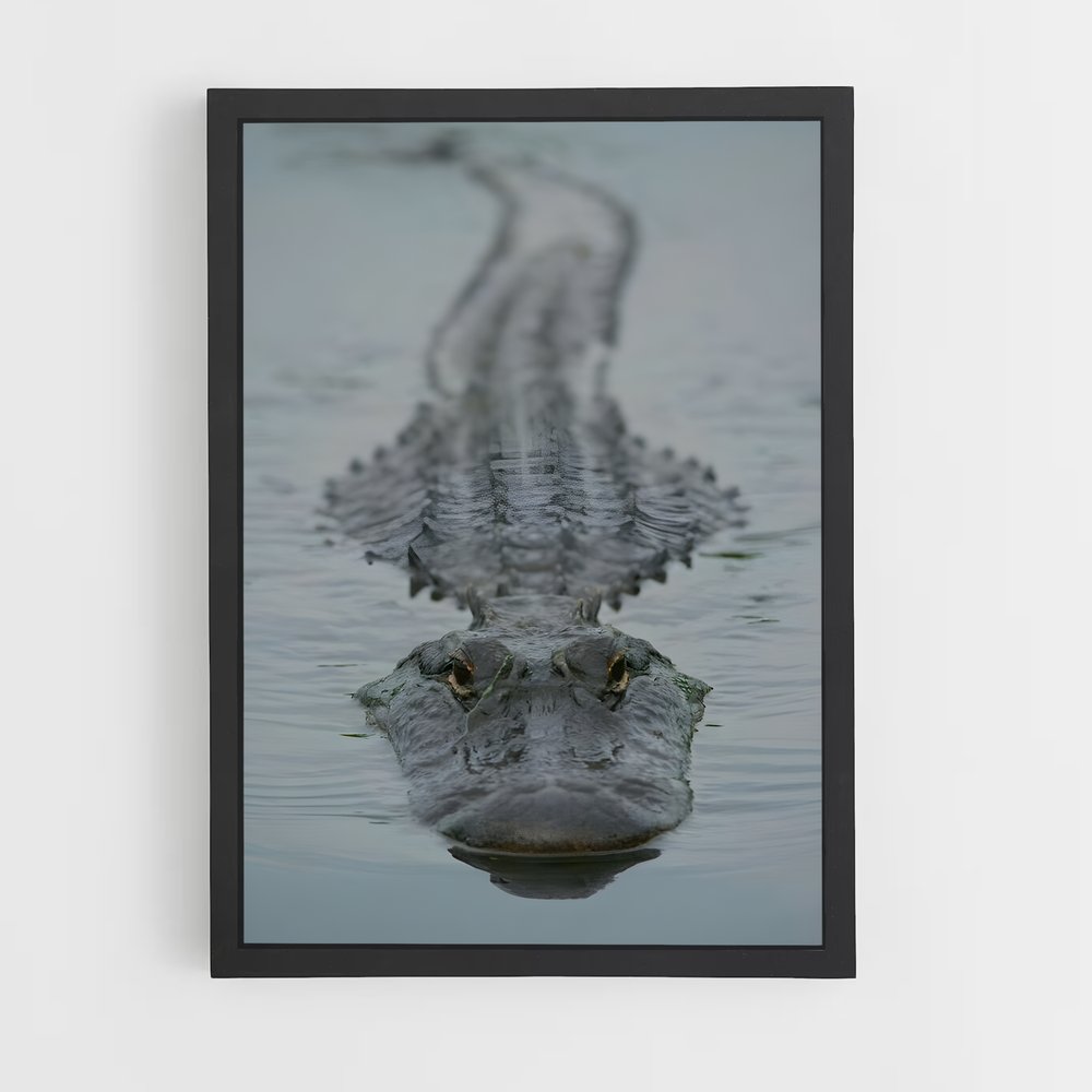 ap-alligator-2 cadre Noir