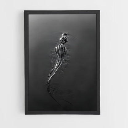 ap-alligator-8 cadre Noir