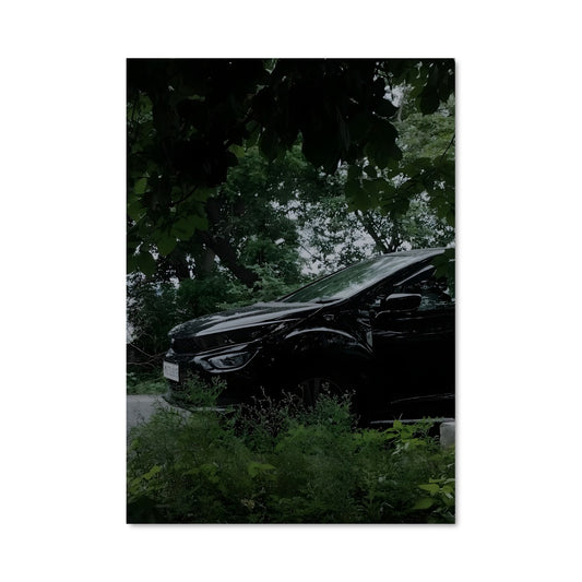 Poster Avenue Altroz