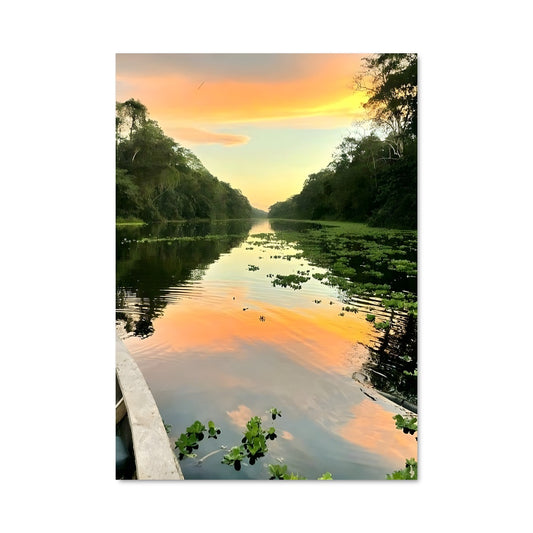 Poster Rêve Amazonien